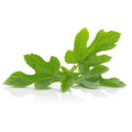 Vert de feuille